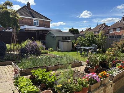 Picture 25